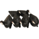 Mojo MOJO Coot Confidence Decoys