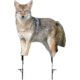Montana Decoy Co. Montana Decoy Coyote Song Dog