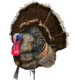 Montana Decoy Co. Wiley Tom 3D Turkey Decoy