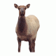 eichler elk decoy, brown