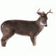 freshman deer buck decoy, brown