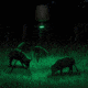 Moultrie Feeder Hog Light, Black/Green, MFA-12651