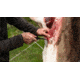 Muddy Field Master Knife Set, BlackStainless, MUD-FM1001-Z