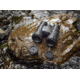 Nikon M5 10 x 42 Roof Prism Binoculars, Black, 16768