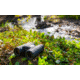Nikon PROSTAFF P7 8x42mm Binocular, Roof Prism, Black, 16772