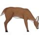 Oncore Targets Feeding Deer Self-Healing Archery Target, Small, Brown/White, D4A