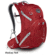 Osprey Manta 25 Pack-Storm Grey M/L