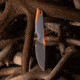Outdoor Edge Cutlery VANTEX 4in Drop Point Fixed Blade Knife w/Sheath, One Size, VNTXDPC