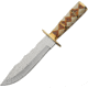 Pakistan 12 Diamond Bone Brass Ws