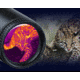 PARD Optics TS36 2.2x35mm Thermal Imaging Rifle Scope, Black, TS36-35