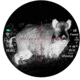 PARD TS3435LRF 384 THERMAL RIFLE SCOPE W/LRF