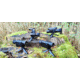 Pard Thermal Imaging 2x35mm Monocular, 640x480, 30Hz, Black, TA62-35
