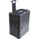 Pelican 1630 Protector Large Watertight 31x24x17in Case, Black w/ Wheels, Foam 1630-000-110