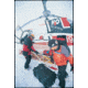 Pelican 1650 Large Crushproof Wheeled Dry Case, 30.75x20.5x11.6in, Black, w/Foam, 1650-020-110