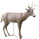 Primos Hunting SCAR Deer Decoy, Box, 62601