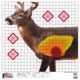 Pro-Shot Deer Sight-in Heavy Paper Targets, 25x25in, Whitetail, Multi-Color, 5 Pack, WDSI-5PK
