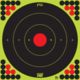 Pro-Shot Splatter Shot Bulls-eye Target, 17.25 in, Green, Black, Pack of 5 Long Range-17.25-5PK