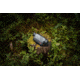 Pulsar Axion Compact XG30 2-16x25mm Thermal Monocular, 640x480, Black, PL77508