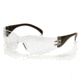 Black Temples/Clear-Hardcoated Lens