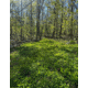 RaKK Fuel Groundwork 1/2 Acre, Large, 7518