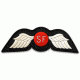 RE Factor Tactical SOF History Patch - Jedburgh Teams RFPAJB