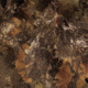 Red Rock Outdoor Gear Big Game Ghillie Suit, Mossy Oak Break-Up, X-Large-2X-Large 70964XL/XXL