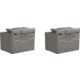 Reveal by Tactacam 4.0 Lithium Cartridge - Pack of 2, 10000 mAh, RV-TC-4LC-10-2PK