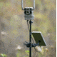 Reveal by Tactacam Adjustable Camera Stake, Black, R-ACS-V1