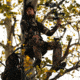 Rivers Edge Treestands Big Foot Original Hang-on Stand, Black RE555