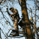 Rivers Edge Treestands Big Foot XL Classic Hang-on Stand, Black RE554