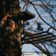 Rivers Edge Treestands Big Foot XL Classic Hang-on Stand, Black RE554