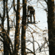 Rivers Edge Treestands Big Foot XL Classic Hang-on Stand, Black RE554