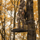 Rivers Edge Treestands DuraLite - Treestand, Black, 1-Man, RE580