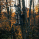 Rivers Edge Treestands Lockdown Wide 1-Man Treestand, Black, 811603010170