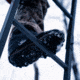Rivers Edge Treestands Retreat 1-Man Ladder Stand, Black, Medium, RE656