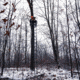 Rivers Edge Treestands Retreat 1-Man Ladder Stand, Black, Medium, RE656