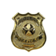 Rothco Security Officer Badge, Gold, 1905-Gold