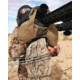 S2Delta Shooting Rest Bag, Large, Tan, C-BAG-TAN