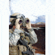 Steiner 7x50r M50r Military Binocular, 538