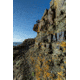 Steiner BluHorizons 10x26 Binocular, 2044