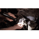 Streamlight Stinger Led Flashlight, Rechargeable, 120V Ac Charge Cord, 12V Dc, Smart Charger, 75752