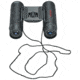 Tasco Roof Prism Binoculars, 12x25, Black, Box, 178125