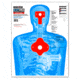 Thompson Target B27-IMZ Upper Torso 19x25in Silhouette Shooting Targets, 20 Pack, Blue, Extra Large, 6924-20