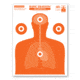 Thompson Target Basic Training Silhouette 19x25in Life Size Economy Paper Shooting Targets, 20 Pack, Orange, Extra Large, 1601-20