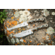 TOPS Knives Muley Combo Leather