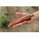 Tops Knives Tanimboca Puukko, Brown, TPUK-01