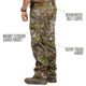 Treezyn ES Lined Cargo Pants - Mens, Early Seezyn Green, Small, MES16-1 S