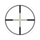 Trijicon AccuPoint TR-20 3-9x40mm Rifle Scope, 1 in Tube, Second Focal Plane, Black, Amber Standard Duplex Crosshair w/ Dot Reticle, MOA Adjustment, 200001