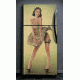 US Night Vision Fridge Wraps Hot Shots 2013, Rosie Cover, 38x65in 701000