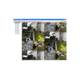 Video Insight Ip Camera Software With 8 Cameras On One Server